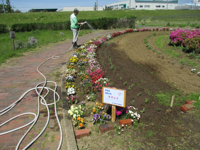 なでしこの苗寄贈写真